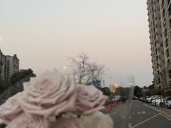-美尚美鲜花(浦东店)