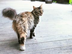 景点-广州珠江公园