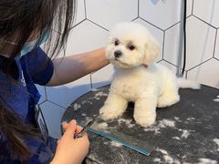 -萌兽医馆·眼科·异宠专科(三里屯店)
