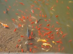 -十渡东湖港风景区