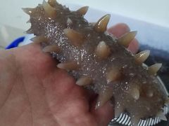 -御同亨酒楼·喜宴