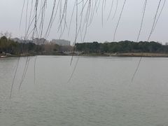 -昆山城市生态森林公园