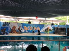 -厦门海底世界
