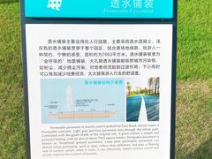 -南汇新城城市公园