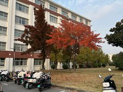 -扬州大学(扬子津校区)