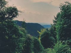 -凤栖山