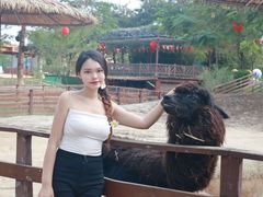-盈香心动乐园