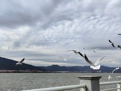 -海埂大坝