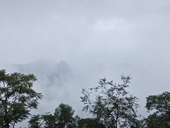-青城山
