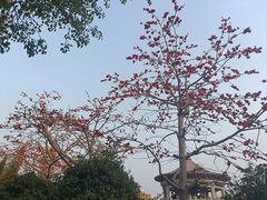 -南普陀寺