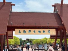 -朱光玉火锅馆(龙阳广场店)
