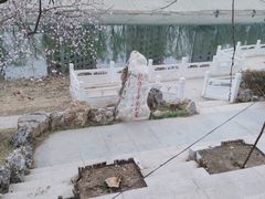 -桃花堤公园