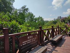 -大亚湾红树林城市湿地公园