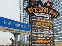 -柴犬高等学院·狗咖·柴犬售卖·宠物训练