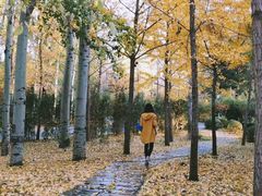 -中家鑫园温泉酒店鑫悦汤泉