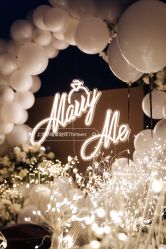 -迈瑞米求婚策划(静安店)