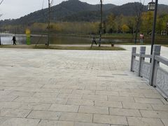 -千年银杏谷文化旅游区