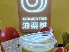 -油梨树AVOCADO TREE(嘉里中心店)
