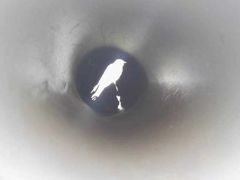 -白鹭湾湿地公园