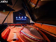 -柏斯音乐艺术中心·钢琴·吉他(上音店)