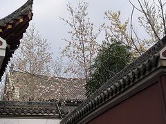 -长春观