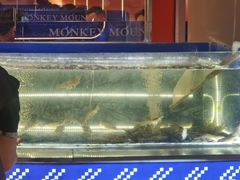 -万达广场(龙湖店)