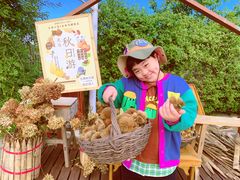 -大连北马山庄