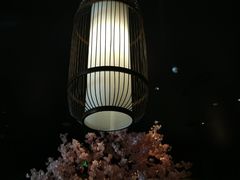 -提香日本料理
