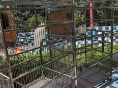 -百万葵园