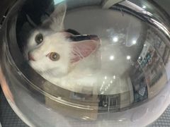 -瑞派宠物医院·犬猫全科·猫友好(宾水西道店)