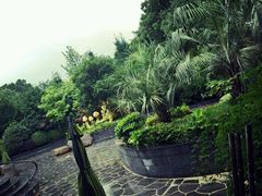 -常州环球恐龙城维景国际大酒店