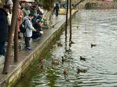 -杭州香格里拉·香宫中餐厅