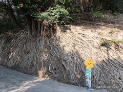 -中山公园(石岐街道)