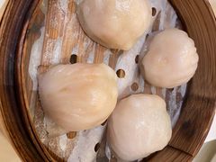 虾饺-南海渔村(珠江新城店)