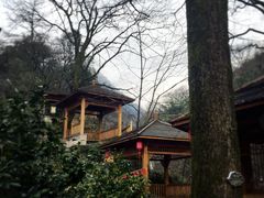 -黄山温泉国际旅游度假区