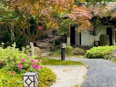 -新洲生态园