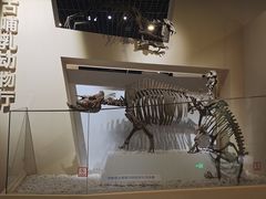 -国家自然博物馆