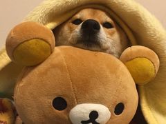 -长沙富力万达文华酒店