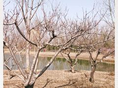 -东郊湿地公园