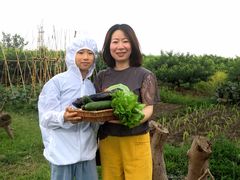 -樂桃源奉贤黄桃种植采摘基地