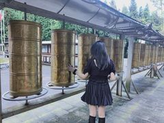 -武陵山森林公园