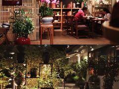 -静颐茶馆·素食(龙华店)