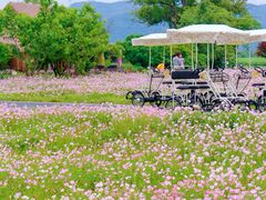 -良渚古城遗址公园