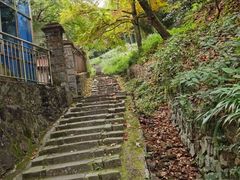 -莫干山风景区