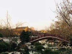 -西安华清御汤酒店