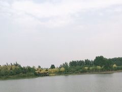 -东郊湿地公园