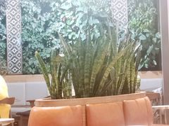 -Peet's Coffee皮爷咖啡(德基店)