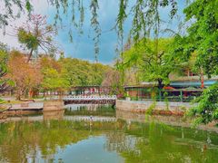 -荔湾湖公园