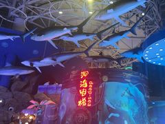 -烟台海昌鲸鲨海洋公园