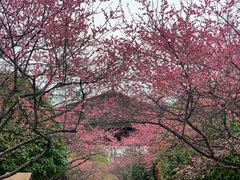-凤凰沟景区
